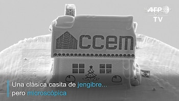 Mide apenas 10 micrones de