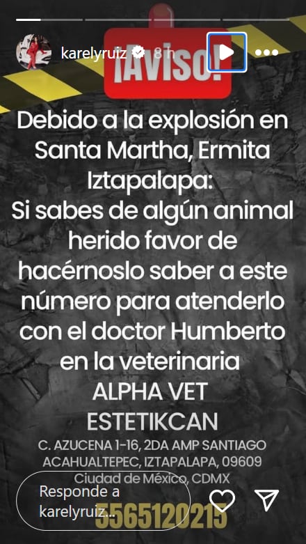 Karely Ruiz también extendió su apoyo a mascotas afectadas por la explosión. (@karelyruiz, Instagram)