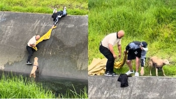 “Fe en la humanidad”: dos