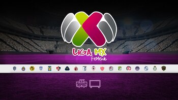 Eston son los días, las horas, los lugares, los canales de transmisión de los partidos de hoy. (Infobae/Jovani Pérez)