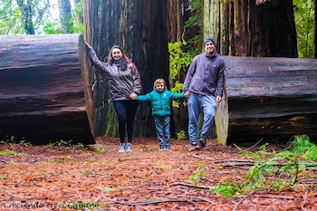 Han recorrido muchos países de