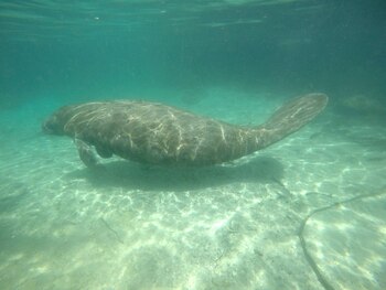 Fotografía cedida hoy por la