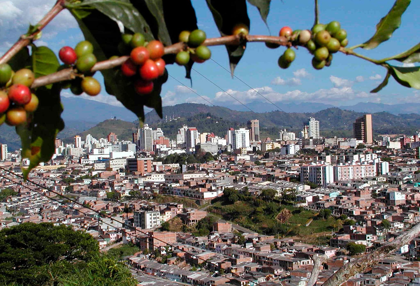 La Policía Nacional y la Defensoría del Pueblo han advertido sobre la presencia de La Cordillera en Risaralda, con actividades de extorsión, tráfico de estupefacientes y control ilegal en zonas urbanas y rurales - crédito Colprensa