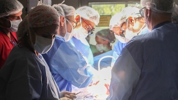 Idealmente se realiza entre la