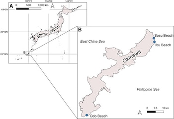 Mapa con dos secciones que muestra el archipiélago de Japón y una ampliación de la isla de Okinawa con tres puntos azules en sus costas