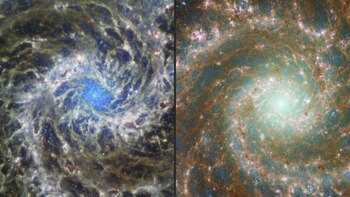 El telescopio espacial James Webb reveló nuevos y deslumbrantes detalles de una ya conocida porción del cosmos a 32 millones de años luz de la Tierra en una imagen publicada por la NASA y la Agencia Espacial Europea (ESA).