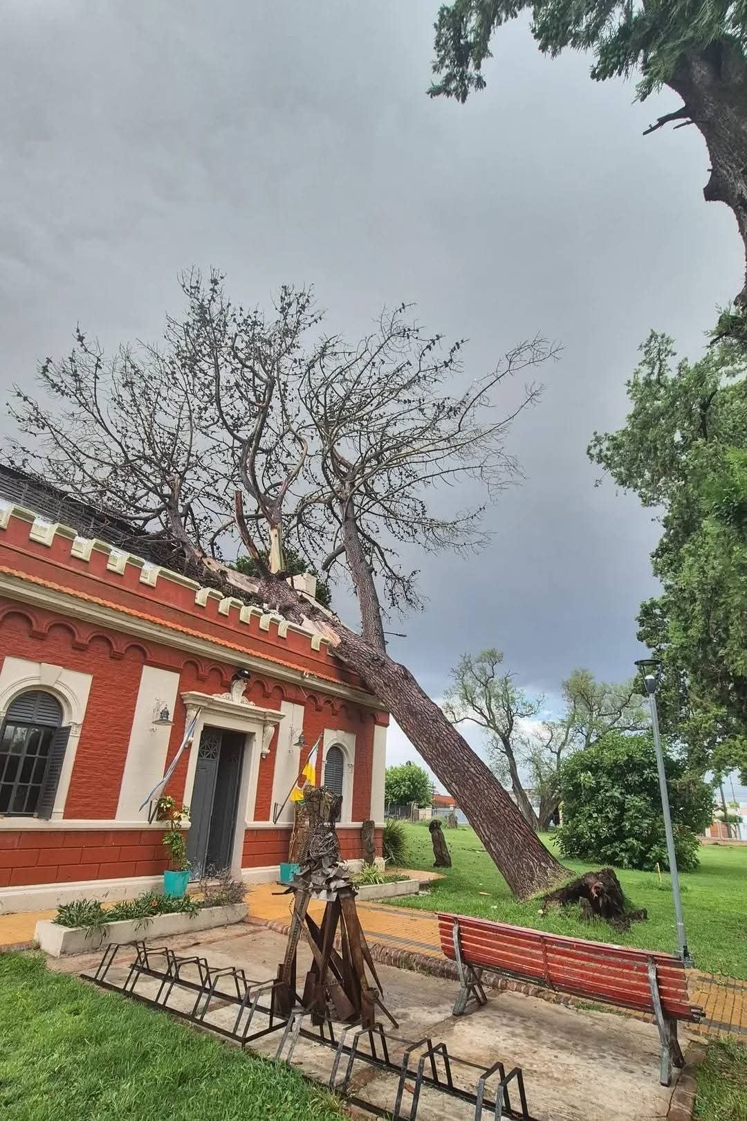 Hubo varios árboles y ramas caídas en la ciudad (X: @StratosWeather)