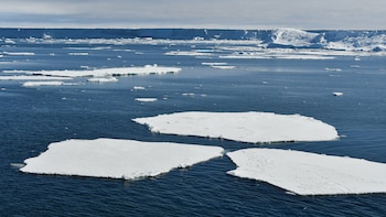 Las aguas profundas cálidas avanzan hacia la Antártida y ponen en riesgo las plataformas de hielo