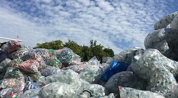 Según la ONU, en 2050