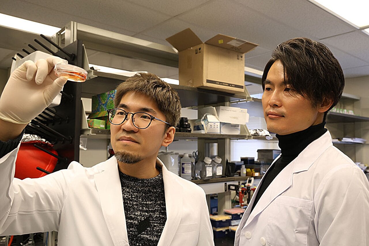 Michinori Mayama (izquierda) y Kotaro Sasaki (derecha) Crédito: Kotaro Sasaki