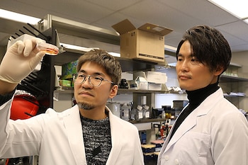 Michinori Mayama (izquierda) y Kotaro Sasaki (derecha) Crédito: Kotaro Sasaki