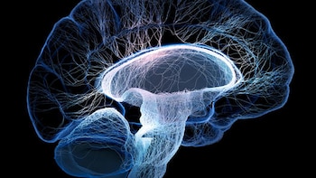 La Epilepsia: ¿ Una enfermedad