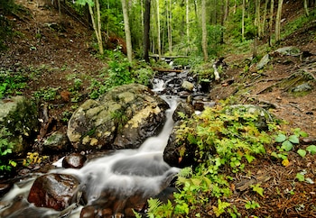 La industria minera en Skellefteå