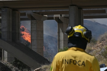 Efectivos antiincendios trabajan en labores de extinción del incendio de Los Gallardos en Almería, este viernes. (Carlos Barba/EFE)