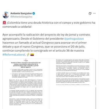 Antonios Sanguino, ministro del Trabajo, confirmó que el Gobierno Petro apoya la creación del contrato agrario para formalizar el trabajo rural - crédito @AntonioSanguino/X
