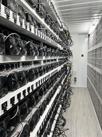 Así son las grandes de