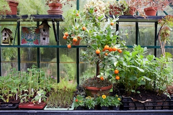 ARCHIVO - Un jardín de