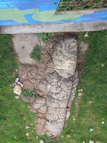 Residentes del sector aseguran que