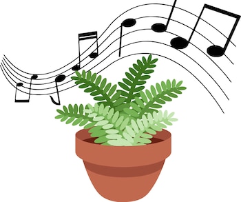 A las plantas les gusta