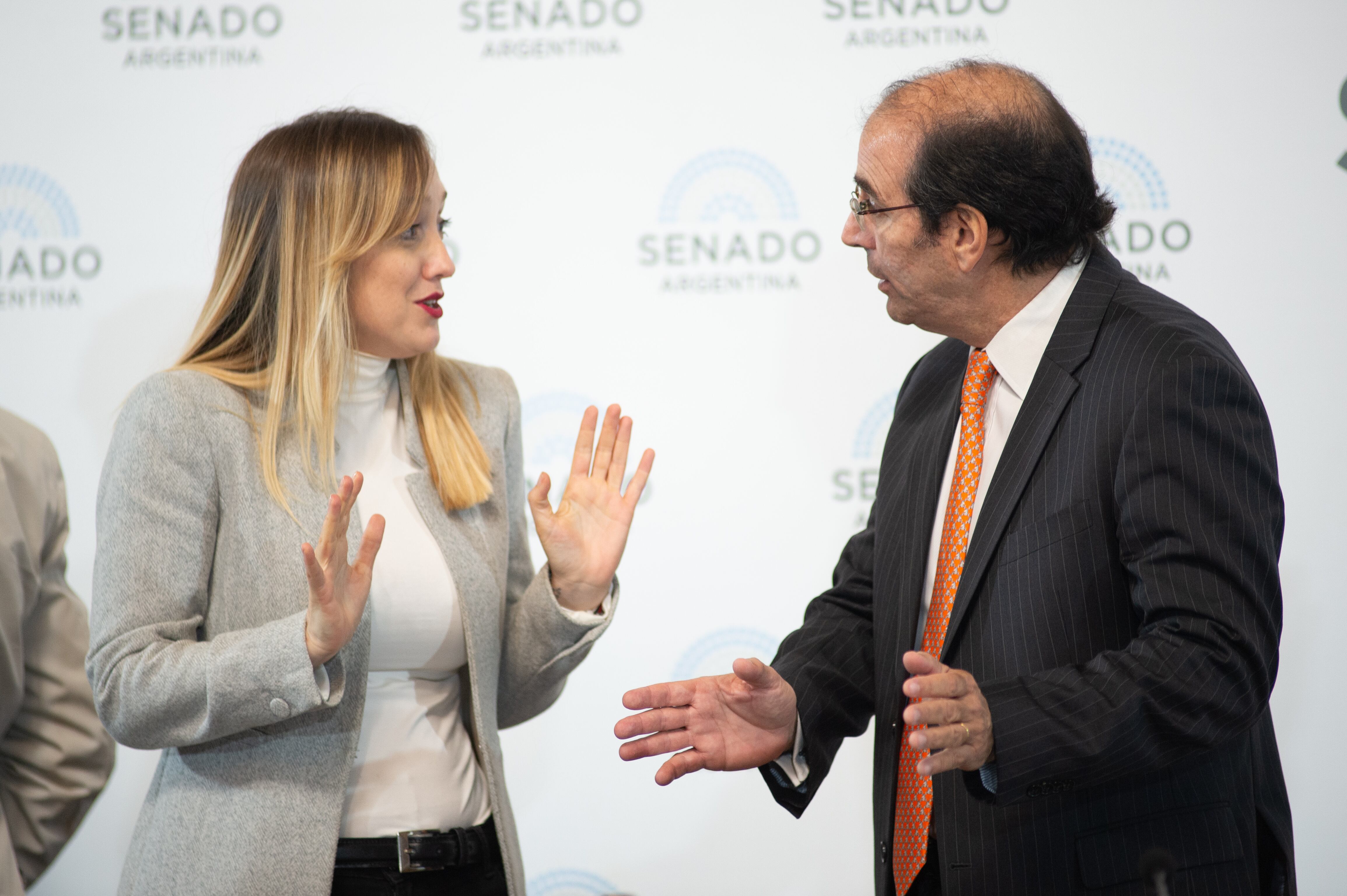 La senadora Anabel Fernández Sagasti y el juez García-Mansilla en agosto, cuando el magistrado le dijo que no aceptaría asumir el cargo si fuera por decreto (Jaime Olivos)