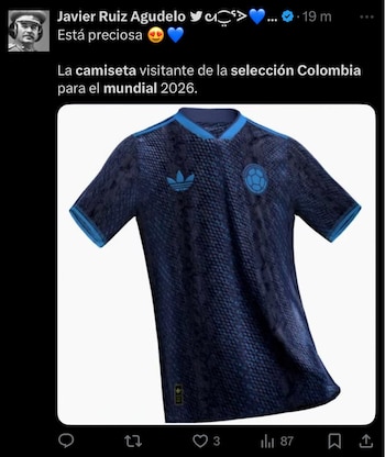 Esta sería la camiseta de