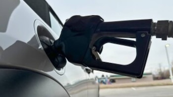 Elizondo afirma que las expectativas