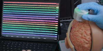 La tecnología BISC utiliza un