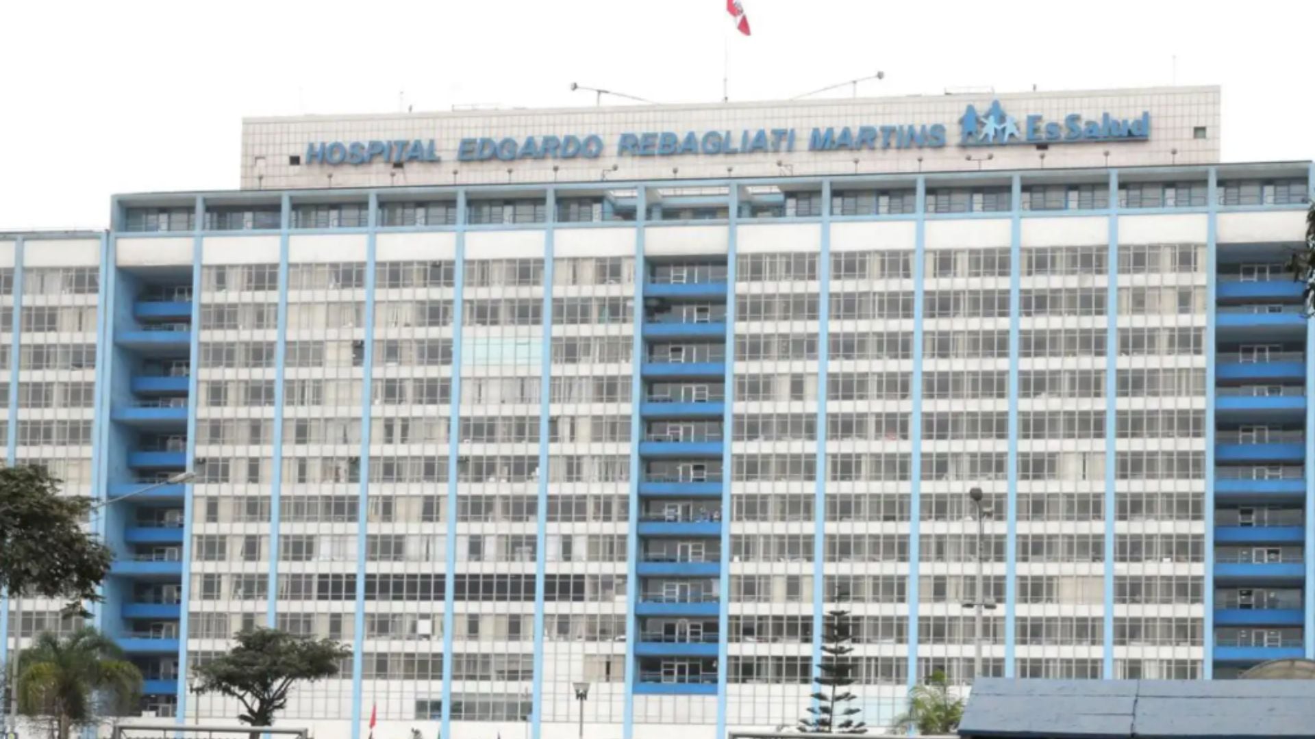La atención del menor requirió un equipo multidisciplinario integrado por especialistas en cirugía cardiovascular pediátrica, dermatología, radiología, resonancia magnética e intervencionismo - Créditos: Andina.