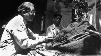 Julio C. Tello, padre de