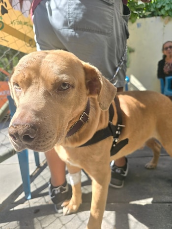 La jornada transcurrió con un