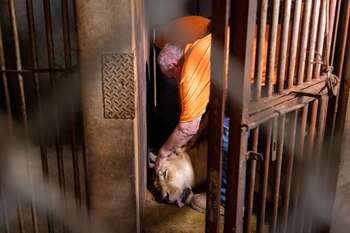 Patrick Craig, del grupo de