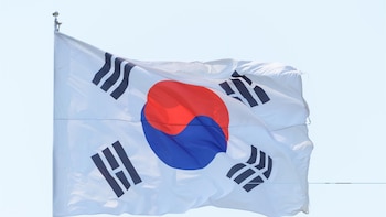 Corea del Sur despide al