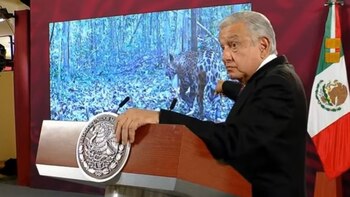 Uno de los videos que