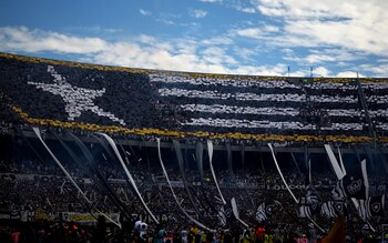 La bandera del Botafogo creada