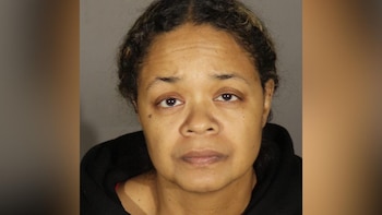 Porter enfrenta cargos por robo