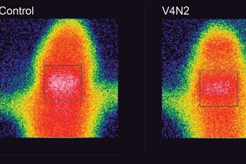 Las imágenes comparan las moléculas