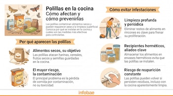 Infografía con texto e ilustraciones de paquetes de comida, larvas, polillas, frascos de vidrio y personas realizando tareas de limpieza.