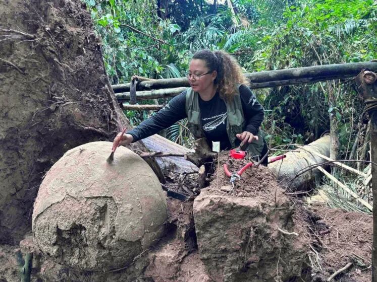 Las urnas presentan un estilo cerámico no documentado previamente, lo que apunta a una variante cultural poco conocida (Márcio Amaral/Geórgea Layla Holanda)