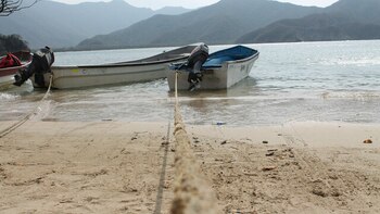 Dos cuerpos sin vida fueron