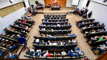 Congresista llama “proxeneta” al presidente