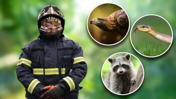 En un acuerdo mutuo, buscaron