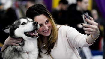 ¿En qué se diferencia un