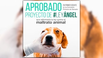 Las autoridades activaron la Ley