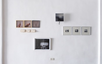 Participan Marina Alessio, María Burgos