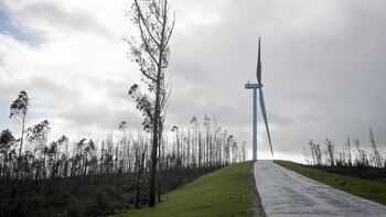 Temporal de viento y oleaje