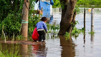 Mientras El Niño se intensifica, un informe de The Lancet advierte sobre el impacto del cambio climático en América Latina