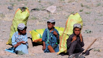 Afganistán: HRW denunció la detención y tortura de niños por su presunta relación con los talibán y el Estado Islámico