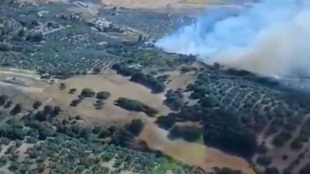 Extinguido el incendio forestal declarado en Antequera