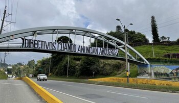 Fanáticos verdolagas piden a la