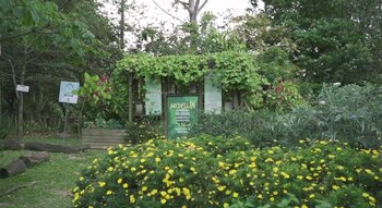 A través de exposiciones interactivas